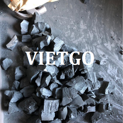 thanden-vietgo-100219 